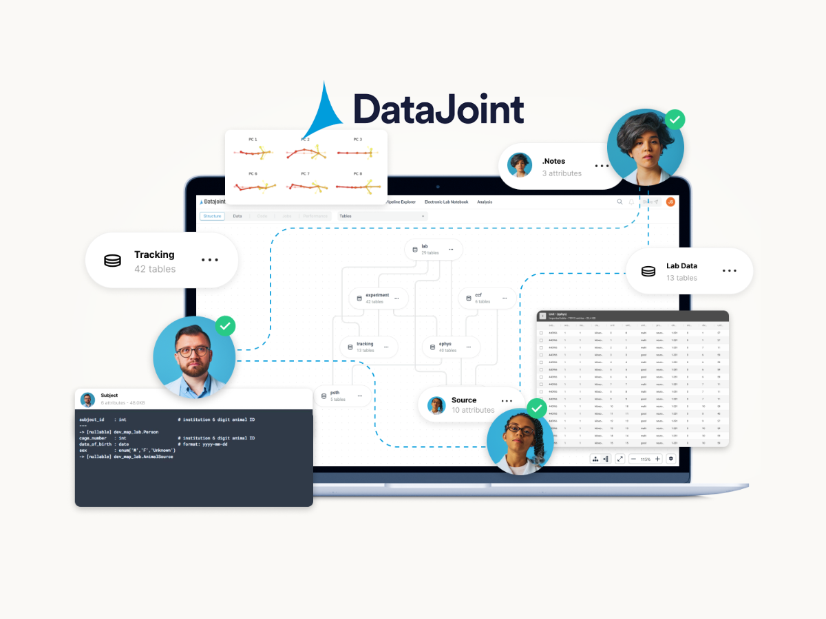 DataJoint | Eva Garland Consulting